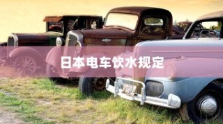 电车爬坡耗电研究与坡道行驶能耗深度探讨