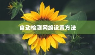 向日葵远程控制设置自动检测网络的方法详解
