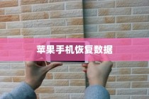 苹果手机恢复数据，使用还原卡重塑手机记忆