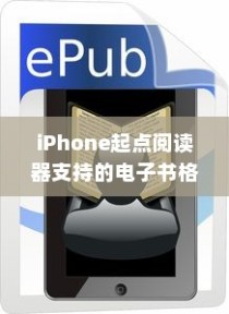 iPhone起点阅读器支持的电子书格式及阅读体验探讨