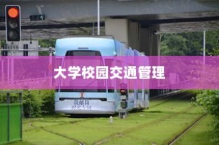 大学校园禁止电车进入，交通管理策略探讨