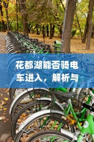 花都湖电车进入政策解析与探讨