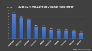 技术平权助力比亚迪宋家族破局，二月销量突破8.9万辆