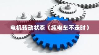 揭秘电动车动力系统运作机制，电机在纯电车不走时的运转状态探讨