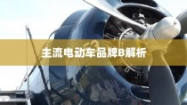 主流电动车品牌B深度解析，为何选择电车B牌子是明智的决策？