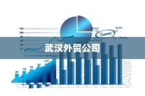 武汉外贸公司多元化战略下的蓬勃发展轨迹