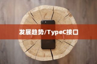 苹果手机接口会用Type-C吗？探讨未来手机接口的发展趋势