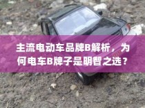 主流电动车品牌B深度解析，为何选择电车B牌子是明智的决策？