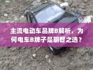 主流电动车品牌B深度解析，为何选择电车B牌子是明智的决策？