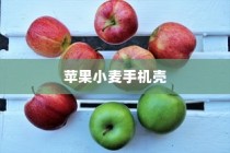 苹果小麦手机壳，实用与美观的完美结合