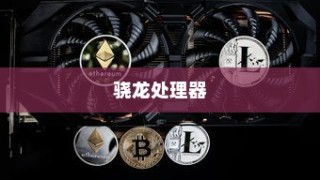 骁龙处理器与天玑6020处理器的性能差距分析