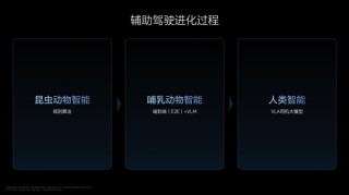 理想VLA司机大模型，李想揭秘从动物进化到人类的跃迁奇迹