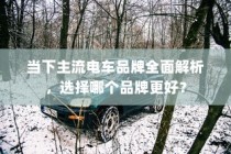 当下主流电车品牌深度解析，哪个品牌更值得选择？