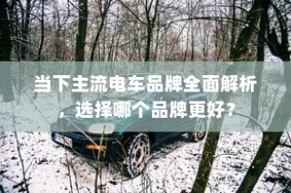 当下主流电车品牌深度解析，哪个品牌更值得选择？