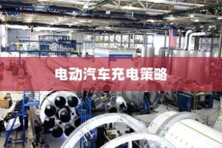 电动汽车充电策略与电池保养解析，电量降至30%时是否充电探讨
