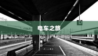 外贸猫结构深度解析，观察与洞察的未来视角