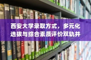 西安大学录取方式，多元化选拔与综合素质评价并行双轨招生策略