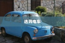 探寻最佳电动车品牌，智慧选购指南！