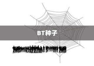 揭秘BT种子，如何使用与理解其工作原理