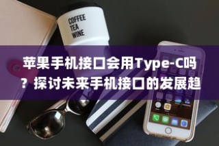 苹果手机接口会用Type-C吗？探讨未来手机接口的发展趋势