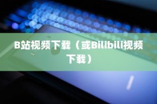 华为手机上下载B站视频—Bilibili视频下载教程