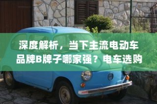 主流电动车品牌B牌子深度解析，选购指南带你了解哪家强！