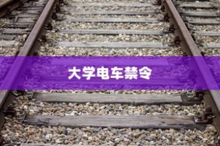 特定大学电车禁令，理解与探讨的视角分析
