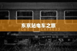 东京站电车之旅，探寻时光与距离之谜