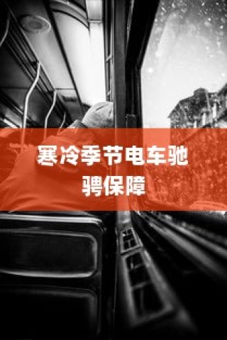 冬季电动车使用与维护指南，保障寒冷季节电车驰骋无阻