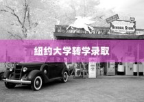 纽约大学转学录取托福之路，探索机遇，成就成长之路