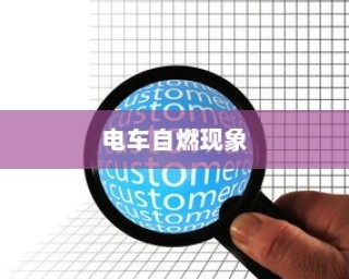 电车自燃现象深度探究，品牌分析与启示