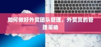 外贸团队管理优化，外贸员的管理策略探讨