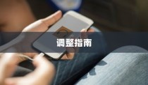 苹果手机LTE功能解析及调整指南