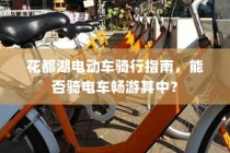 长途出行是否适合购买电车？深度解析与决策建议