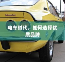 二十万左右预算，纯电车选购攻略