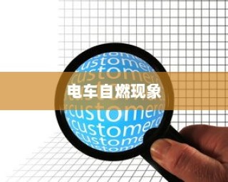电车自燃现象深度探究，品牌分析与启示