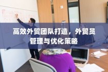 高效外贸团队构建与管理优化策略