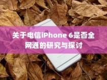 关于电信iPhone 6是否全网通的研究与探讨
