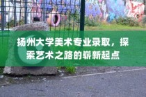 扬州大学美术专业录取，艺术之路的崭新起点