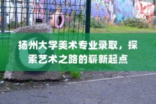 扬州大学美术专业录取，艺术之路的崭新起点