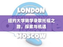 纽约大学转学录取托福之路，探索机遇与成长之路