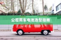 公司用车电池选型指南，电动车电池类型与适用性分析