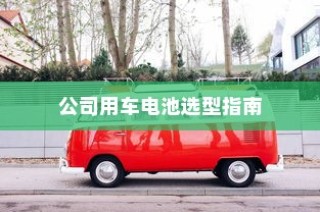公司用车电池选型指南，电动车电池类型与适用性分析