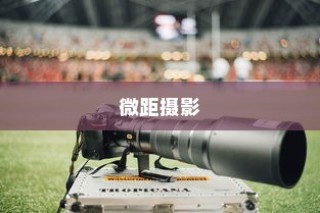 微距摄影，揭示微观世界的魔法艺术