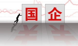 怎么查公司是不是国企，国有企业和国有公司有什么区别