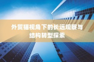 外贸猫视角下的长远观察与结构转型深度探讨
