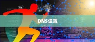 DNS设置详解，轻松掌握网络连接的基石