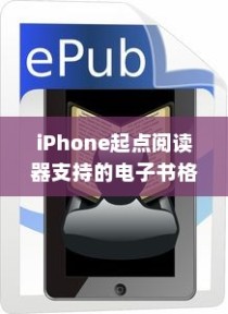 iPhone起点阅读器支持的电子书格式及阅读体验探讨