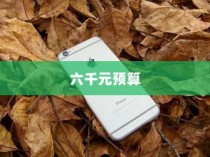 六千块买什么苹果手机，选购指南与建议