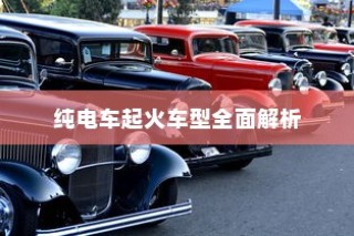 纯电车起火车型深度剖析